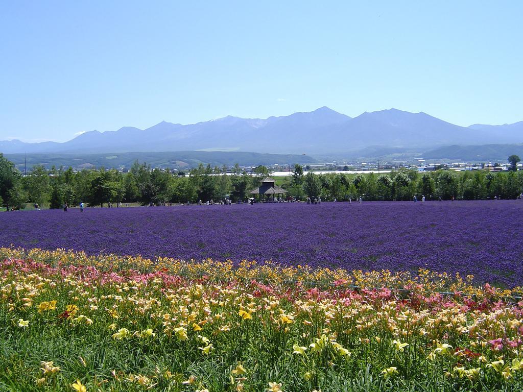 Furano Prince Hotel Esterno foto