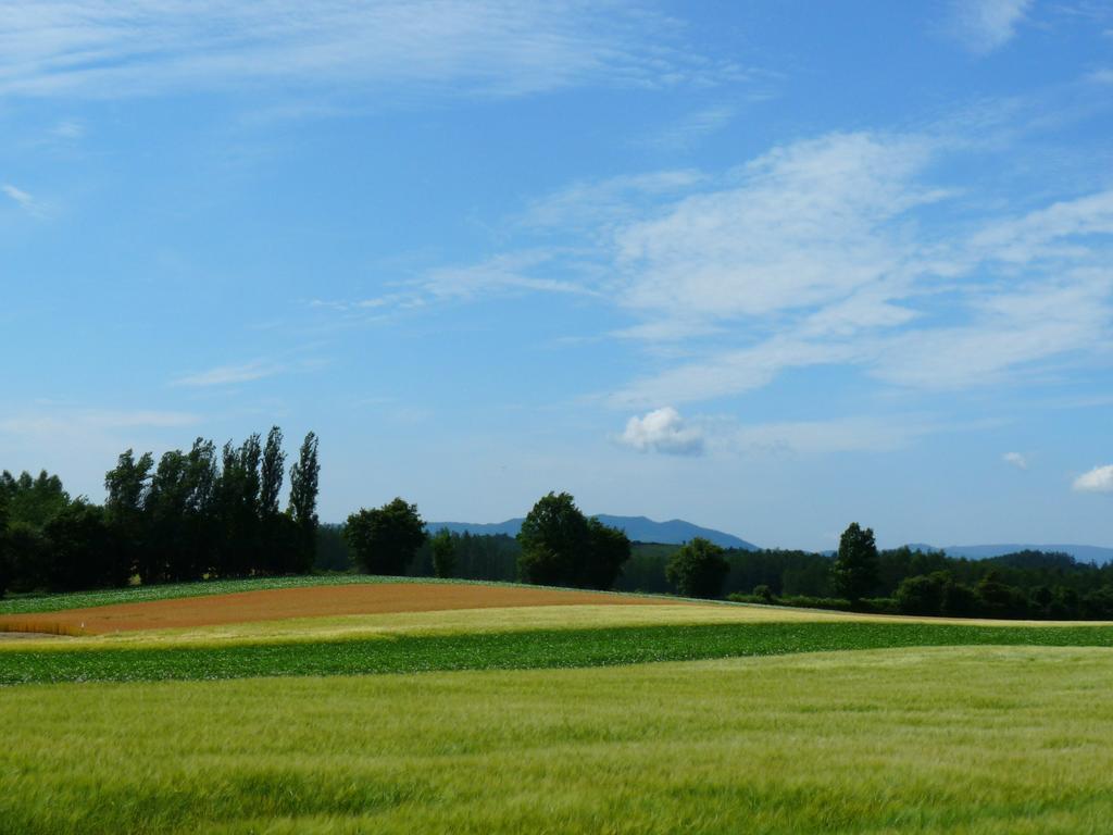 Furano Prince Hotel Esterno foto